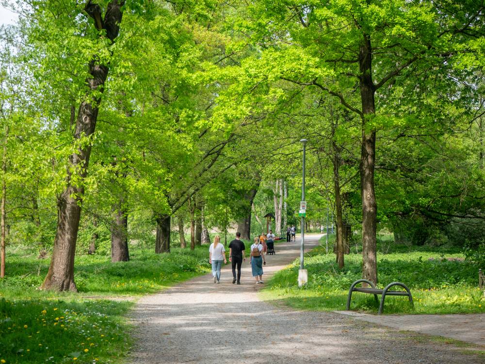 Park Zwierzyniec