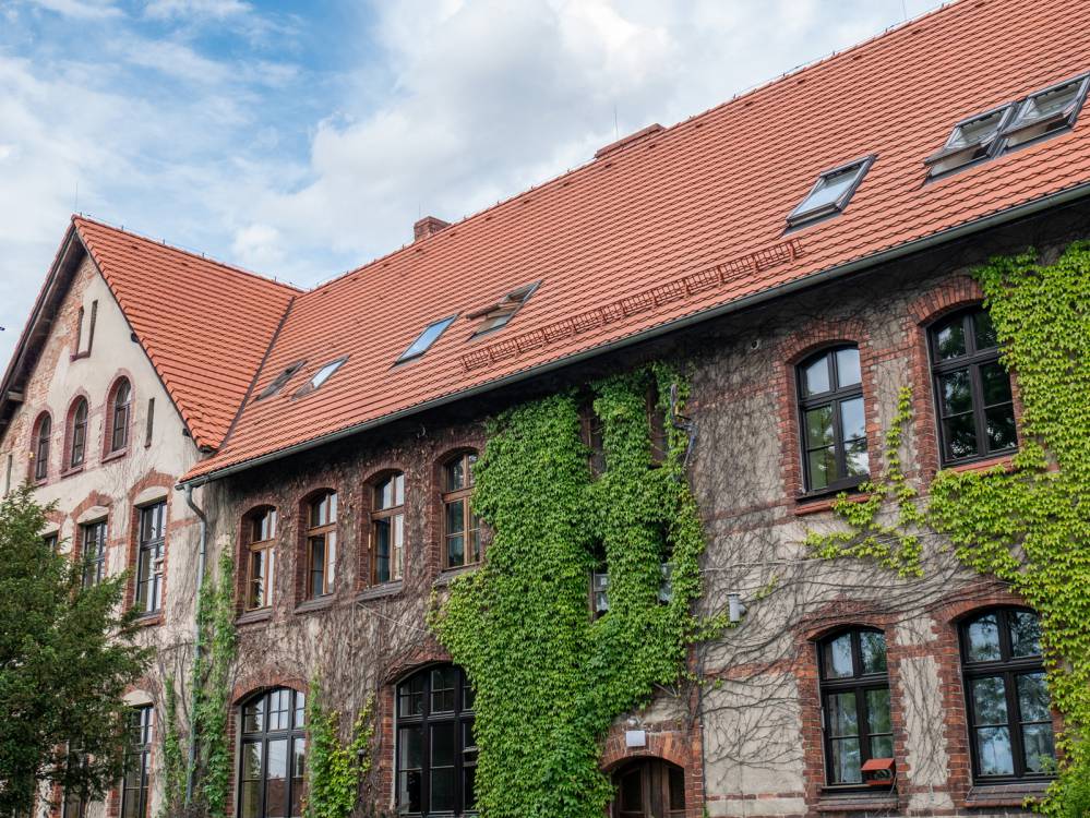 Szlak Smolarnia