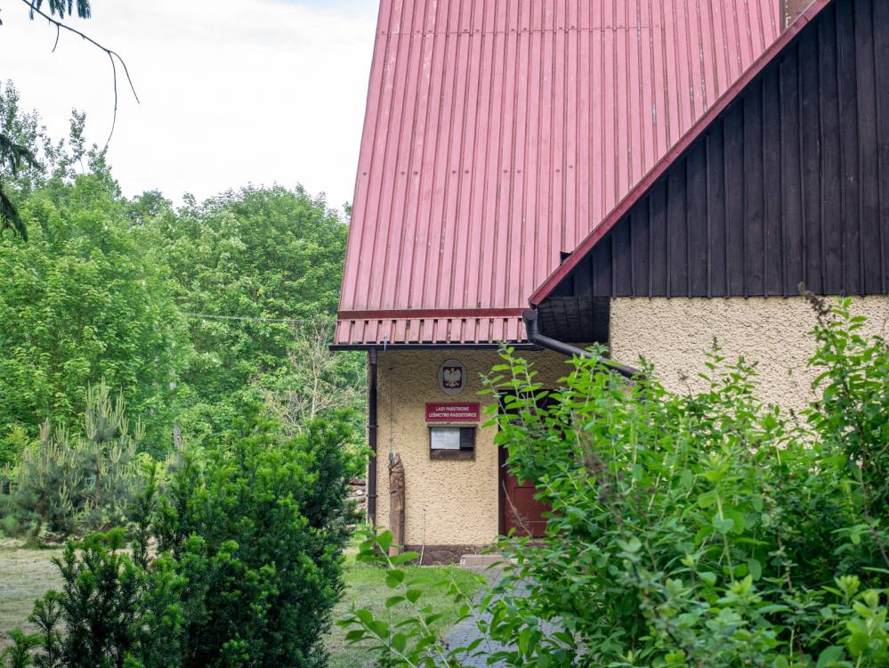 Szlak Zielona