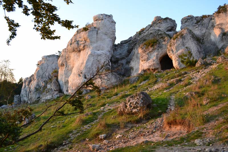 Rezerwat G&oacute;ra ZBor&oacute;w fot. Rafał Rębisz