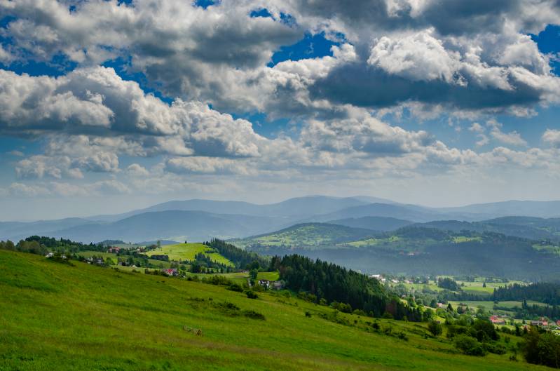 ochodzita