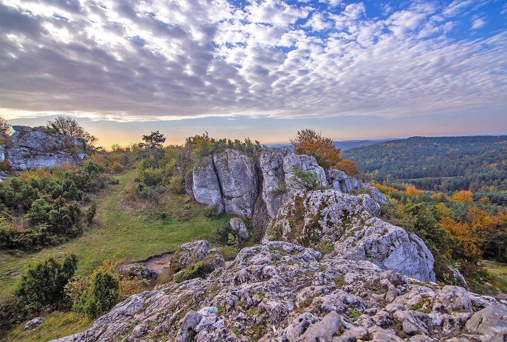 Szlak Orlich Gniazd